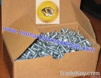 yellow zinc coating pan head self-tapping screw