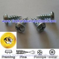 white zinc coating flat framing head self-tapping screw