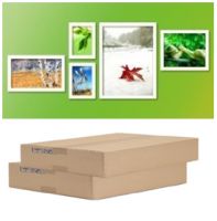 Multimural For Home Decoration
