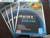 Glossy photo paper