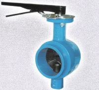 Butterfly Valve