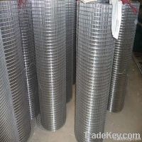 Welded Wire Mesh