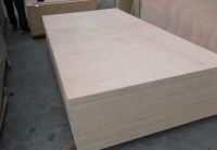 Commercial Plywood, WaterProof Plywood, Film Plywood