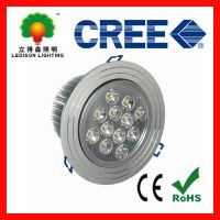 LED Ceiling Lamps