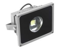 LED Flood Lights (30W)