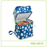 Cooler Bag