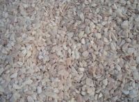 Caustic Calcined Magnesite