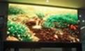 Indoor Fullcolor PH8 SMD Led Display