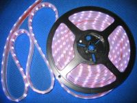 led flexible strip