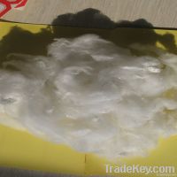 Polyester Fibre