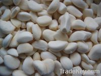 frozen garlic