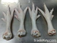  Export Chicken Paw | Chicken Feet Suppliers | Poultry Feet Exporters | Chicken Feets Traders | Processed Chicken Paw Buyers | Frozen Poultry Paw Wholesalers | Low Price Freeze Chicken Paw | Best Buy Chicken Paw | Buy Chicken Paw | Import Chicken Paw | Ch From Sri Lanka