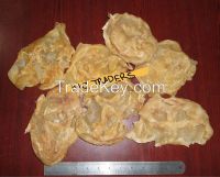Dried Cat Fish Maw