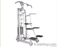 assisted dip&chin up station From China