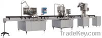 small bottle linear type filling line