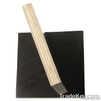 Construction materials --black film faced plywood