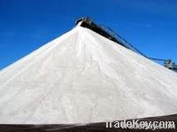 Egypt Raw Sea Salt