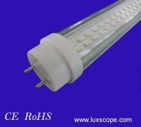 T8 Tube