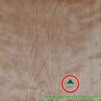 Chinese Cherry Veneer