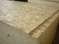 OSB Boards