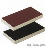 Marine Plywood 