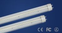 T8 Tube Light