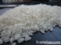 CALROSE WHITE RICE 5% BROKEN