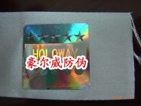 Hologram