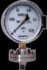 Gauge