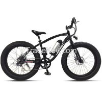 26&quot; Electric bicycle with 2 fat tires