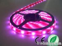 5050 60leds waterproof IP65 LED strip light