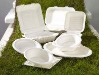 Bagasse Tableware