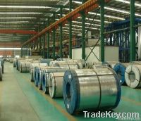 galvanised steel coil