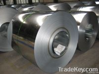 Prime and excellent quality galvanized steel coil