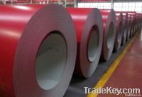 RAL7035 prepainted galvanized steel sheet in coil/PPGI