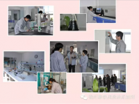 Hydraulic Oil Additive Package(lubricant Additives