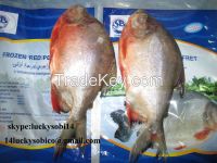 We Sell Pangasius/ Horse Mackerel/red