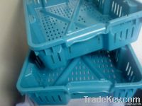 20 lb.Plastic Harvesting Lug From Canada