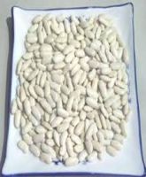 White Kidney Bean Extract