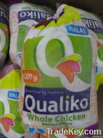 Qualiko Whole chicken HALAL