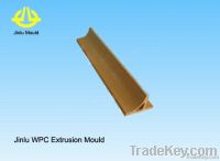 Sell WPC coner line extrusion mould PE product China