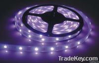 LED Strip Lights