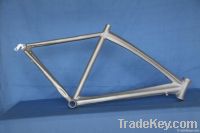 Aluminum Sports Bike frame (sports)