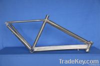 Aluminum Bike Frame