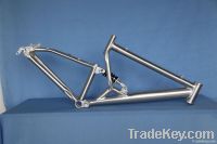 Aluminum Bike frame (suspension)