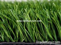 Synthetic grass football field