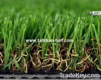 Artificial Grass