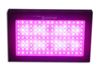 300W Quantum LED Grow Light