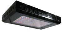 600W Quantum Pro-Bloom LED Grow Light