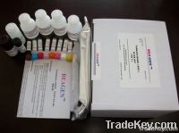 Furazolidone (AOZ) ELISA Test Kit